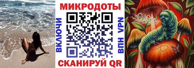 Купить где  Болхов  Галлюциногенные грибы Psilocybine cubensis 